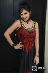 Madhumitha at Maine Pyar Kiya Movie Success Meet